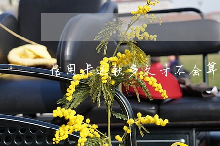 信用卡还款多久才不会算逾期 信用卡还款多久才不会算逾期