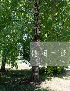 信用卡还款多久算逾期 信用卡还款多久算逾期