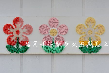 信用卡还款多次逾期怎么办 信用卡还款多次逾期怎么办