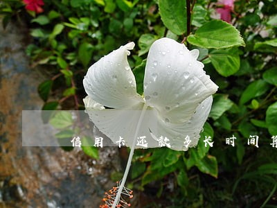 信用卡还款多长时间算逾期 信用卡还款多长时间算逾期