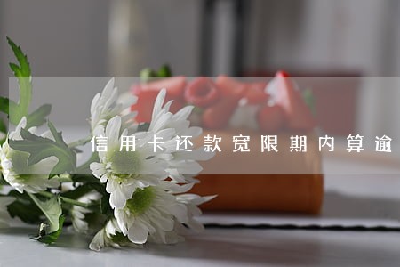 信用卡还款宽限期内算逾期吗 信用卡还款宽限期内算逾期吗