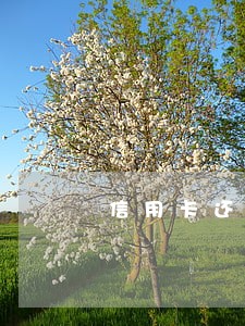 信用卡还款差几分钱算逾期吗 信用卡还款差几分钱算逾期吗