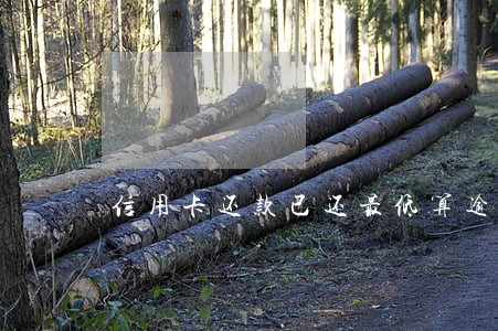 信用卡还款已还最低算逾期 信用卡还款已还最低算逾期