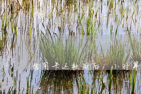信用卡还款延后1小时算逾期吗 信用卡还款延后1小时算逾期吗