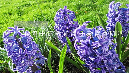 信用卡还款延期一天算逾期吗