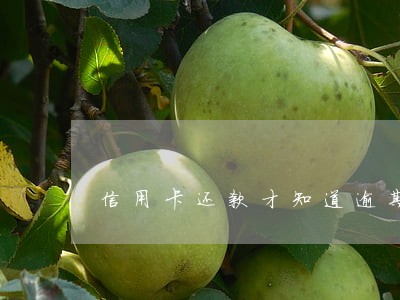 信用卡还款才知道逾期 信用卡还款才知道逾期