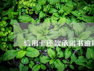 信用卡还款承诺书逾期 信用卡还款承诺书逾期