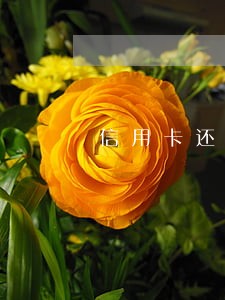 信用卡还款推一天算逾期吗 信用卡还款推一天算逾期吗
