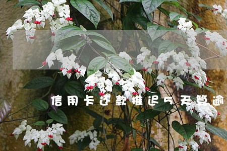 信用卡还款推迟5天算逾期吗 信用卡还款推迟5天算逾期吗