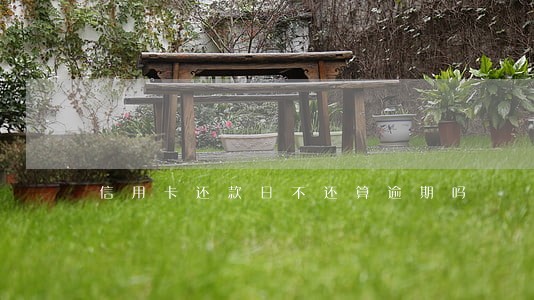 信用卡还款日不还算逾期吗 信用卡还款日不还算逾期吗