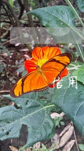 信用卡还款日之后几天不算逾期 信用卡还款日之后几天不算逾期
