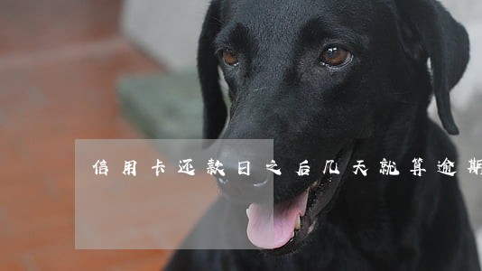 信用卡还款日之后几天就算逾期 信用卡还款日之后几天就算逾期