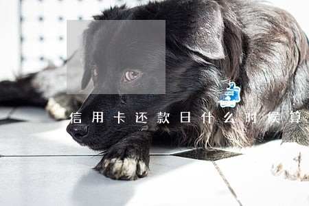 信用卡还款日什么时候算逾期