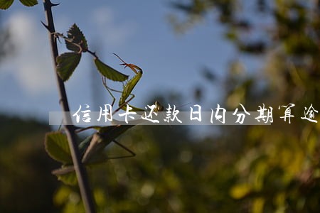 信用卡还款日内分期算逾期违约吗 信用卡还款日内分期算逾期违约吗