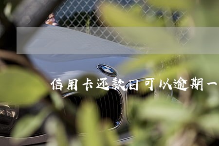 信用卡还款日可以逾期一天吗 信用卡还款日可以逾期一天吗