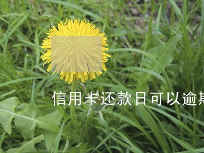 信用卡还款日可以逾期几天
