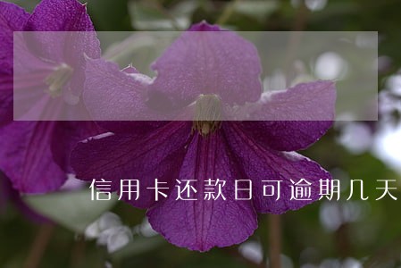 信用卡还款日可逾期几天 信用卡还款日可逾期几天