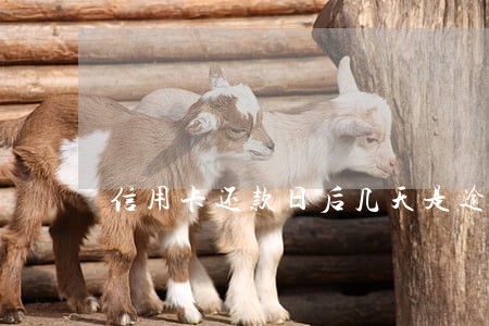 信用卡还款日后几天是逾期 信用卡还款日后几天是逾期