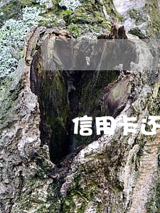 信用卡还款日后才有逾期吗 信用卡还款日后才有逾期吗