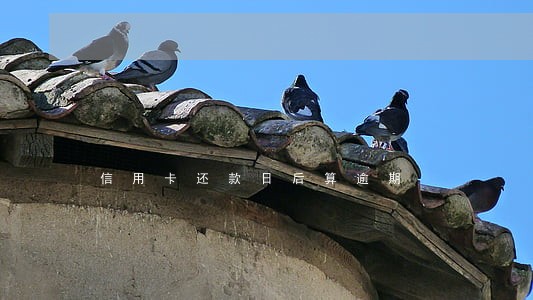 信用卡还款日后算逾期 信用卡还款日后算逾期