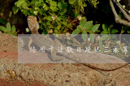 信用卡还款日延迟三天算逾期吗