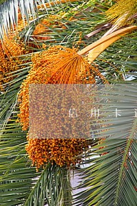 信用卡还款日当天有没有逾期