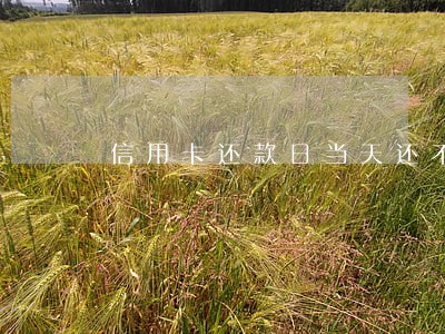 信用卡还款日当天还不算逾期吗