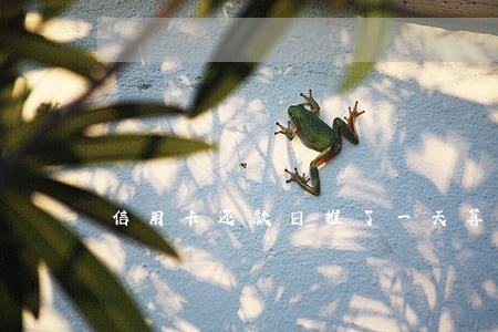 信用卡还款日推了一天算逾期吗