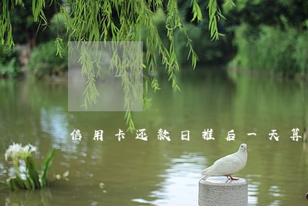 信用卡还款日推后一天算逾期吗 信用卡还款日推后一天算逾期吗