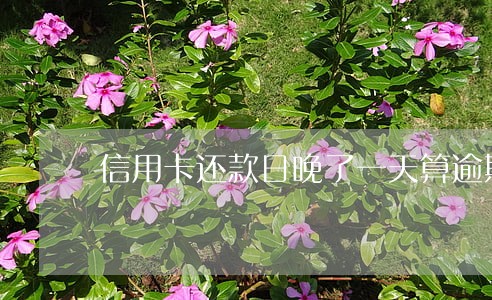信用卡还款日晚了一天算逾期吗 信用卡还款日晚了一天算逾期吗