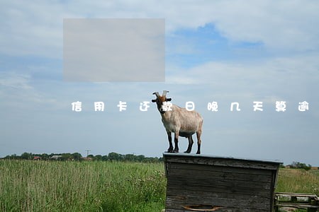 信用卡还款日晚几天算逾期 信用卡还款日晚几天算逾期