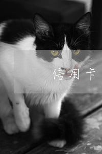 信用卡还款日期一天都不能逾期吗 信用卡还款日期一天都不能逾期吗
