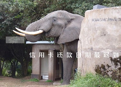信用卡还款日期最迟到几号算逾期
