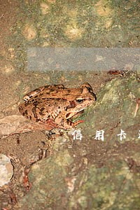 信用卡还款日期过一天算逾期么 信用卡还款日期过一天算逾期么
