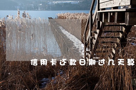 信用卡还款日期过几天算逾期
