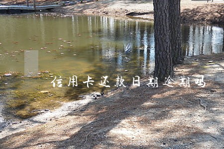 信用卡还款日期逾期吗