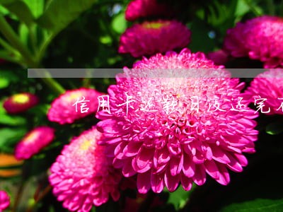 信用卡还款日没还完不算逾期嘛