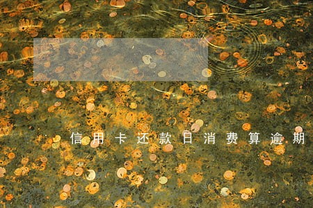 信用卡还款日消费算逾期吗 信用卡还款日消费算逾期吗