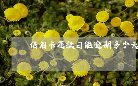 信用卡还款日能逾期多少天 信用卡还款日能逾期多少天