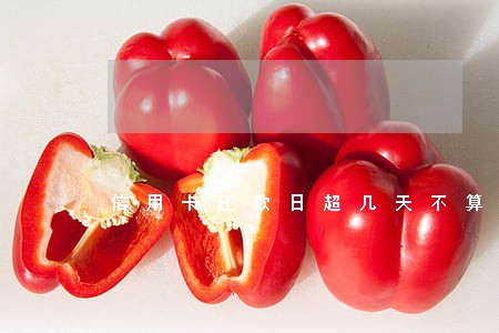 信用卡还款日超几天不算逾期 信用卡还款日超几天不算逾期