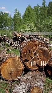 信用卡还款日过1天算逾期 信用卡还款日过1天算逾期