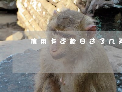 信用卡还款日过了几天不算逾期 信用卡还款日过了几天不算逾期
