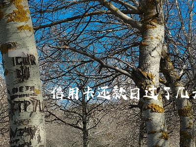 信用卡还款日过了几天才算逾期 信用卡还款日过了几天才算逾期