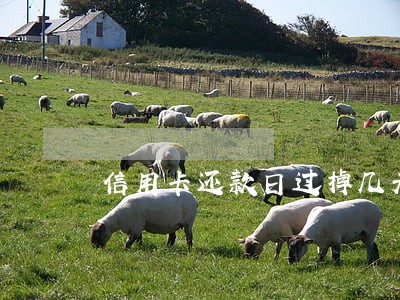 信用卡还款日过掉几天算逾期 信用卡还款日过掉几天算逾期