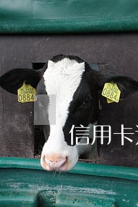 信用卡还款日过期2天算逾期吗