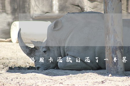 信用卡还款日还了一半算逾期吗 信用卡还款日还了一半算逾期吗