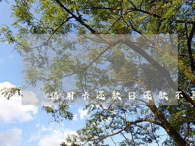 信用卡还款日还款不算逾期吧 信用卡还款日还款不算逾期吧
