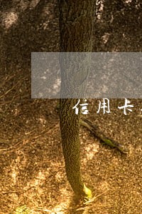 信用卡还款日还款会逾期吗 信用卡还款日还款会逾期吗