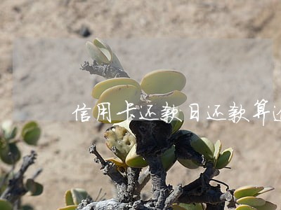 信用卡还款日还款算逾期吗 信用卡还款日还款算逾期吗