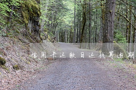 信用卡还款日还钱算逾期吗 信用卡还款日还钱算逾期吗